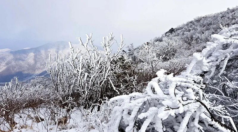 소백산 설경