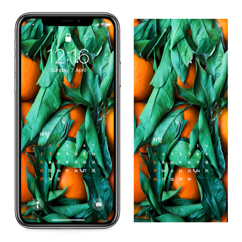 12 오렌지와 녹색 잎 AB - 2023년10월 아이폰달력배경화면