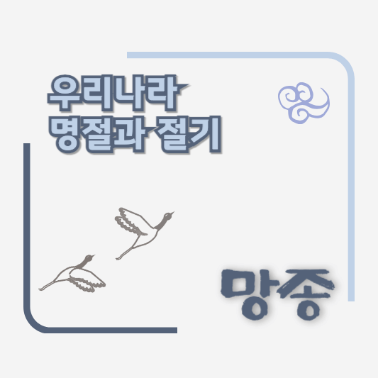 썸네일 - 망종