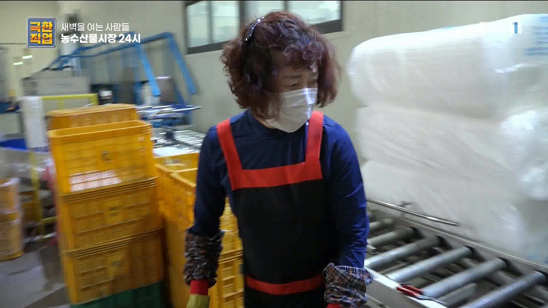 농수산물 시장 24시.mp4_20221020_161729.289.jpg