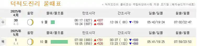 덕적도 물때