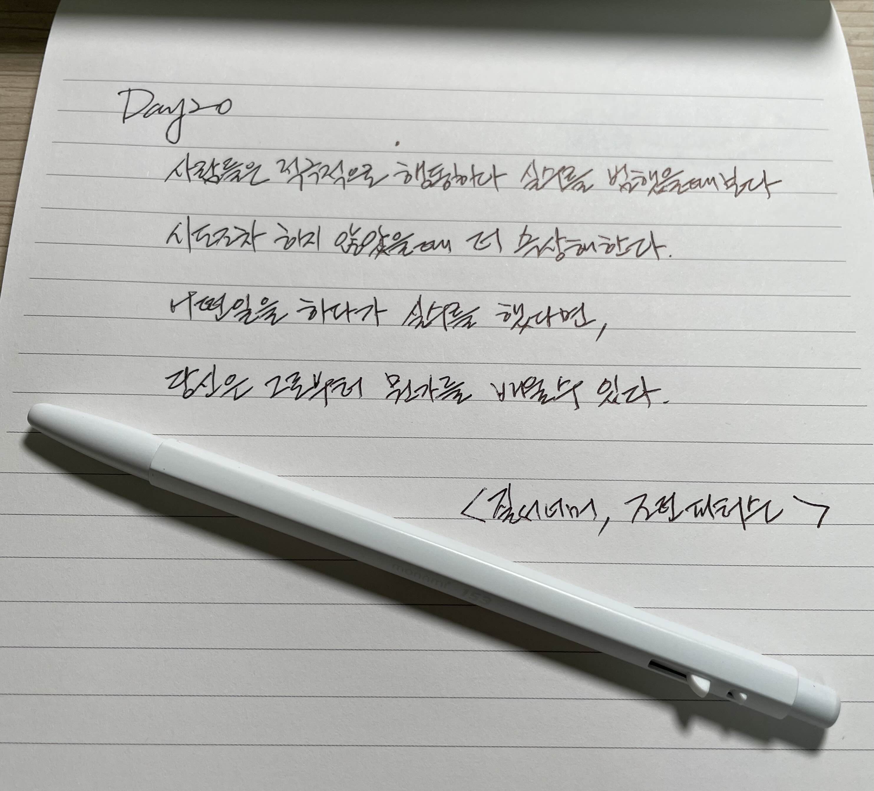  Day20 오늘의 필사, 질서 너머, 조던 피터슨