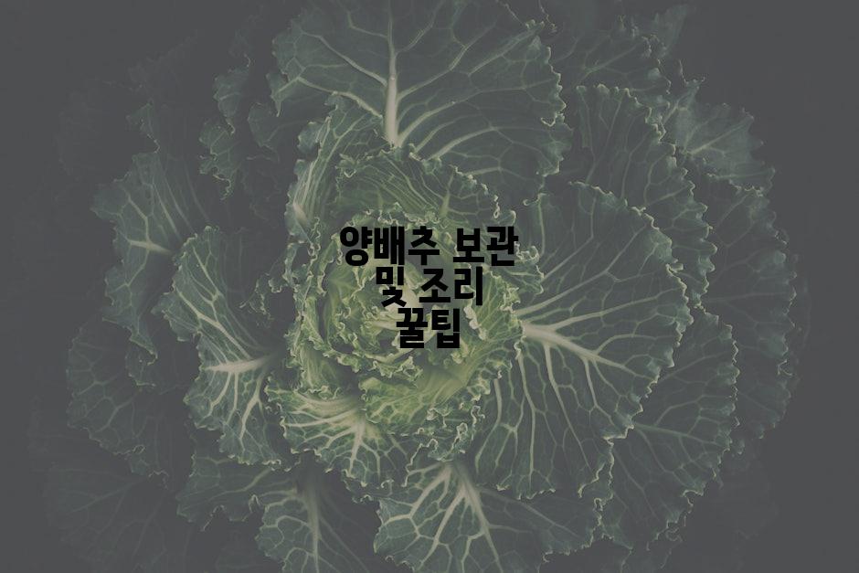 양배추 보관 및 조리 꿀팁