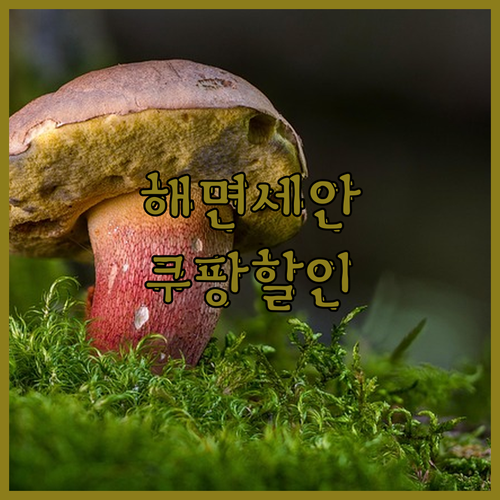 세안은 역시 천연 해면! 홀아트 스펀