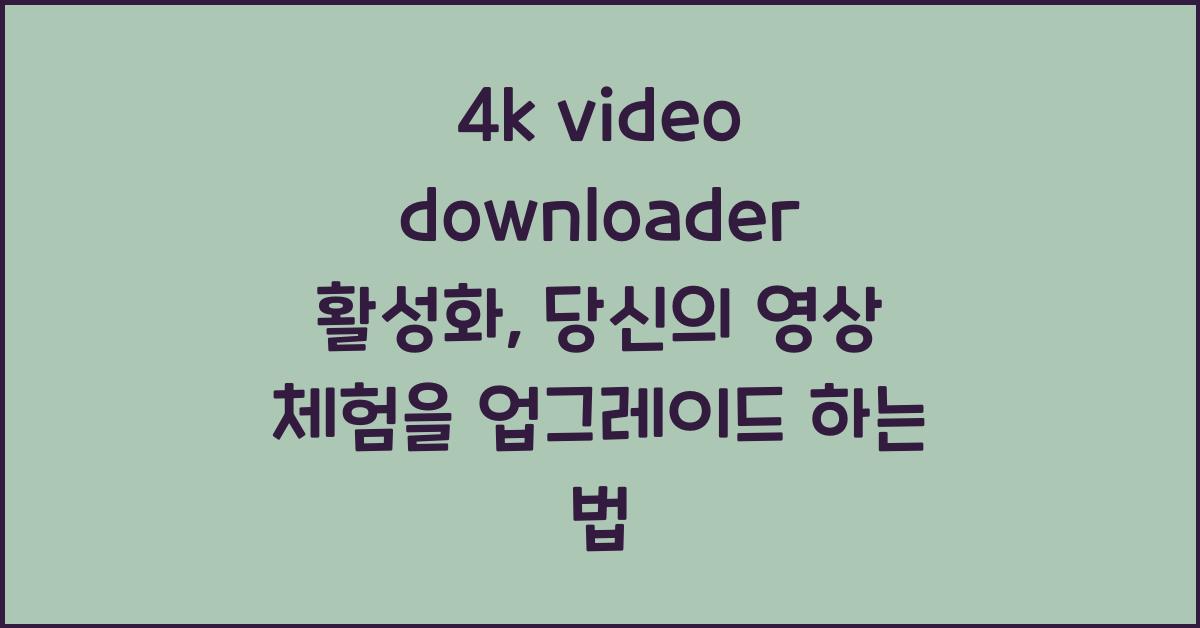 4k video downloader 활성화