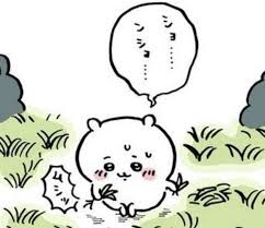 규하나 이미지