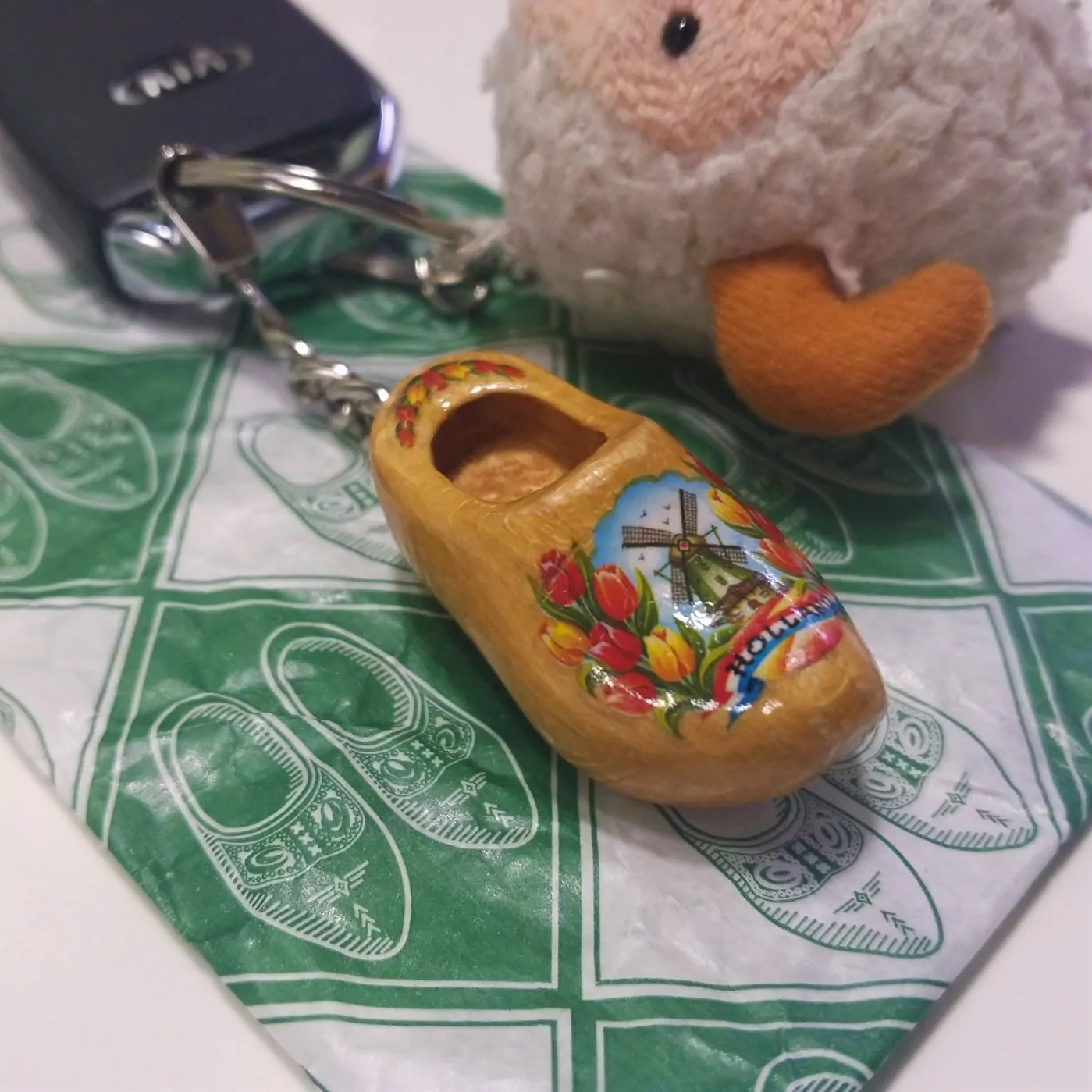 잔세스칸스-사진-7