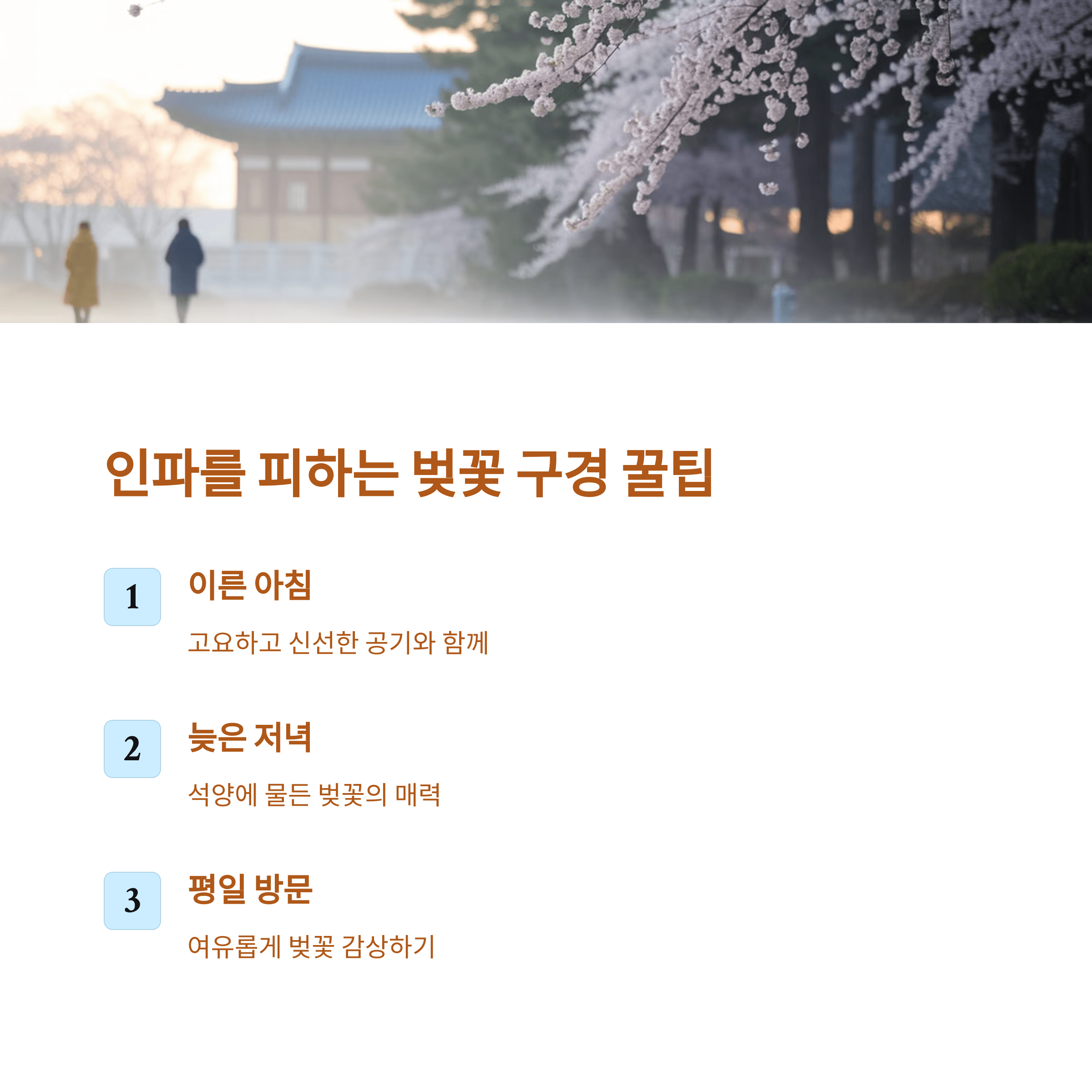 2025 봄 꽃 개화