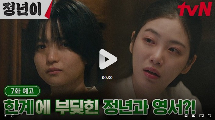 정년이 웹툰 및 드라마 줄거리