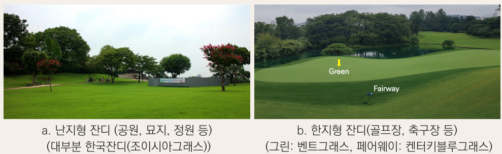  잔디 가꾸기