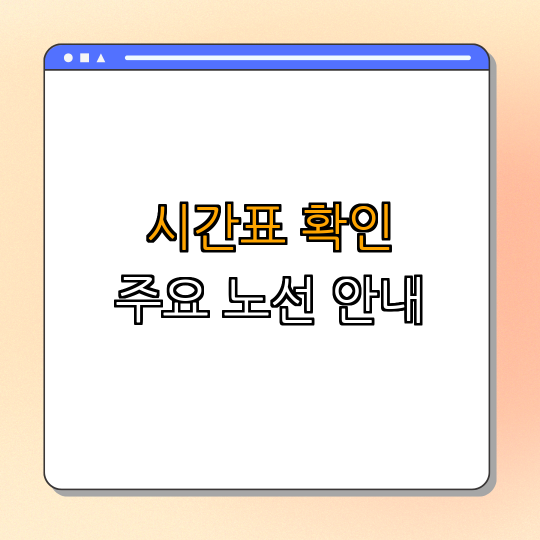 2. 버스 시간표 확인 방법