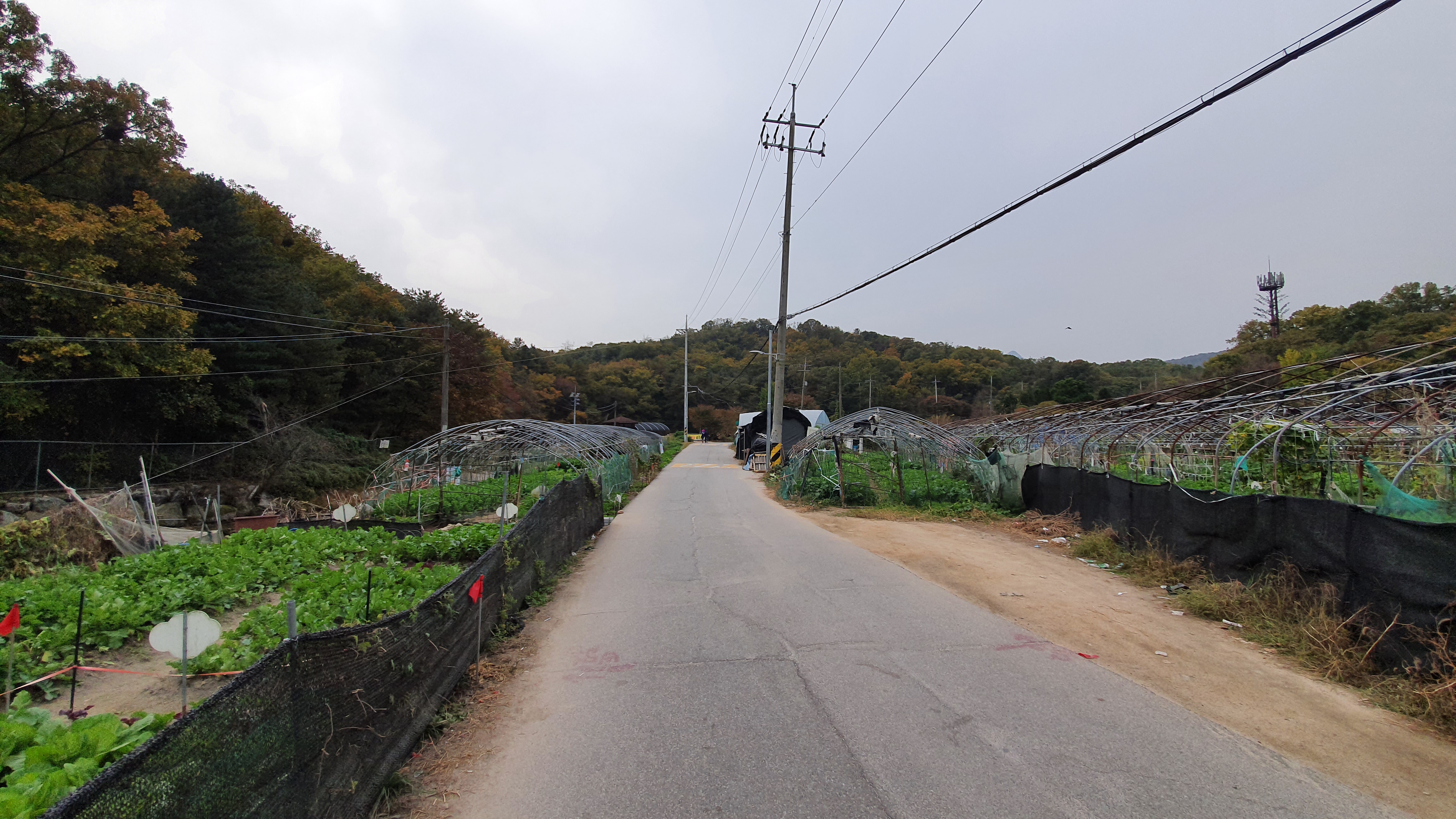 북한산 (2020-10-21) 1