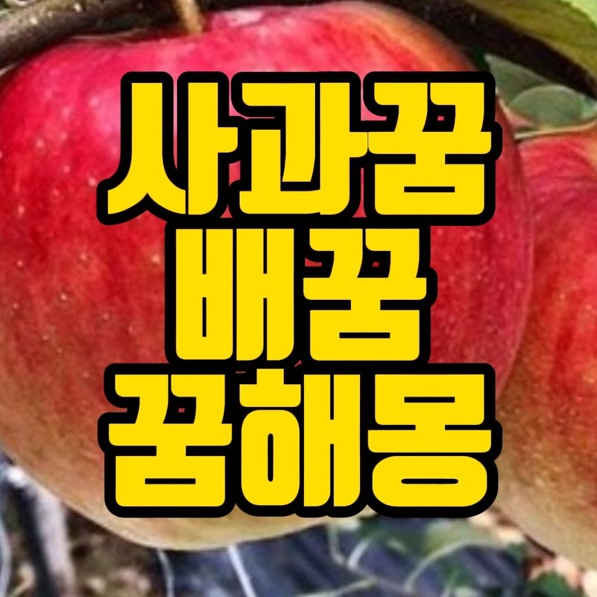  [꿈해몽] 사과먹는꿈,배따는꿈,사과나무꿈,배나무꿈, 배꽃꿈 관련 꿈풀이