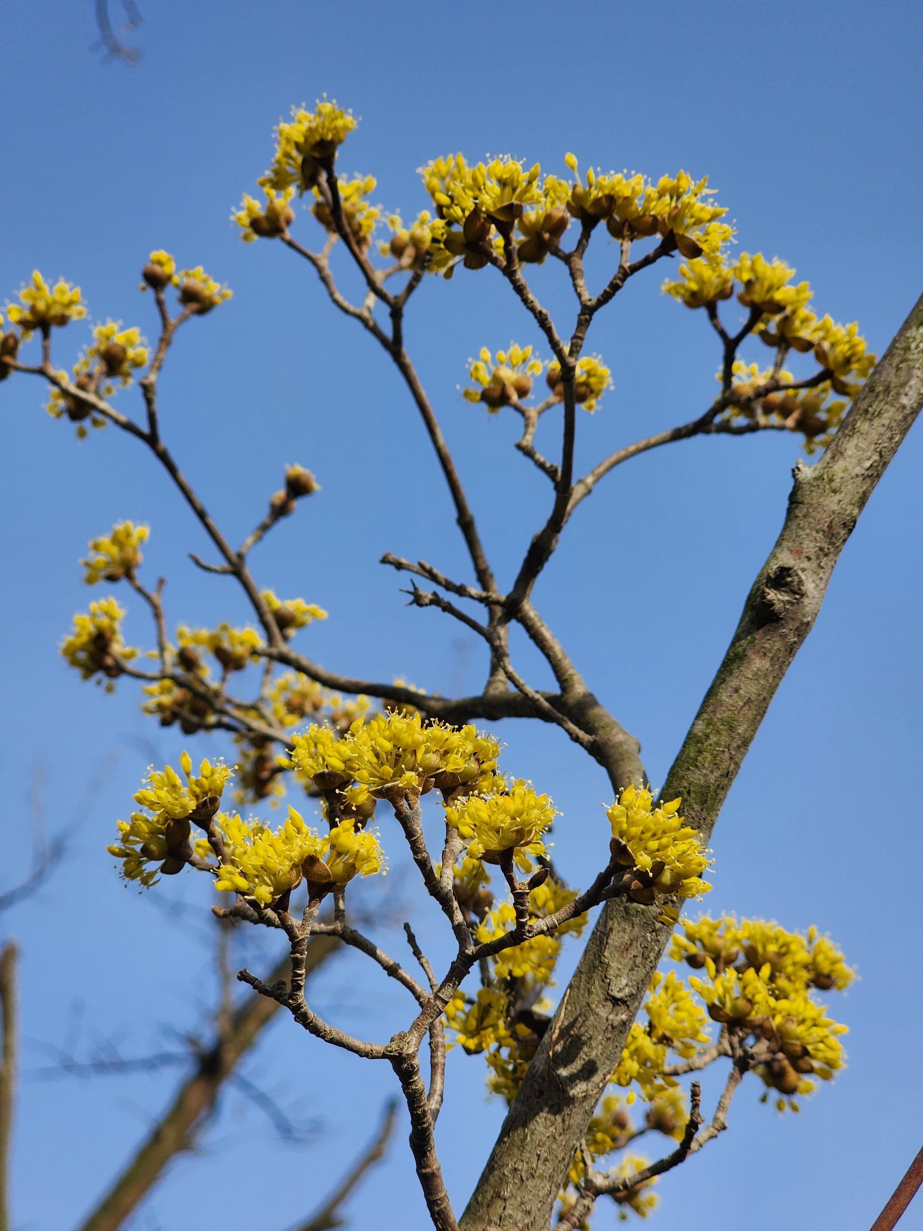 #을왕리 해수욕장 25