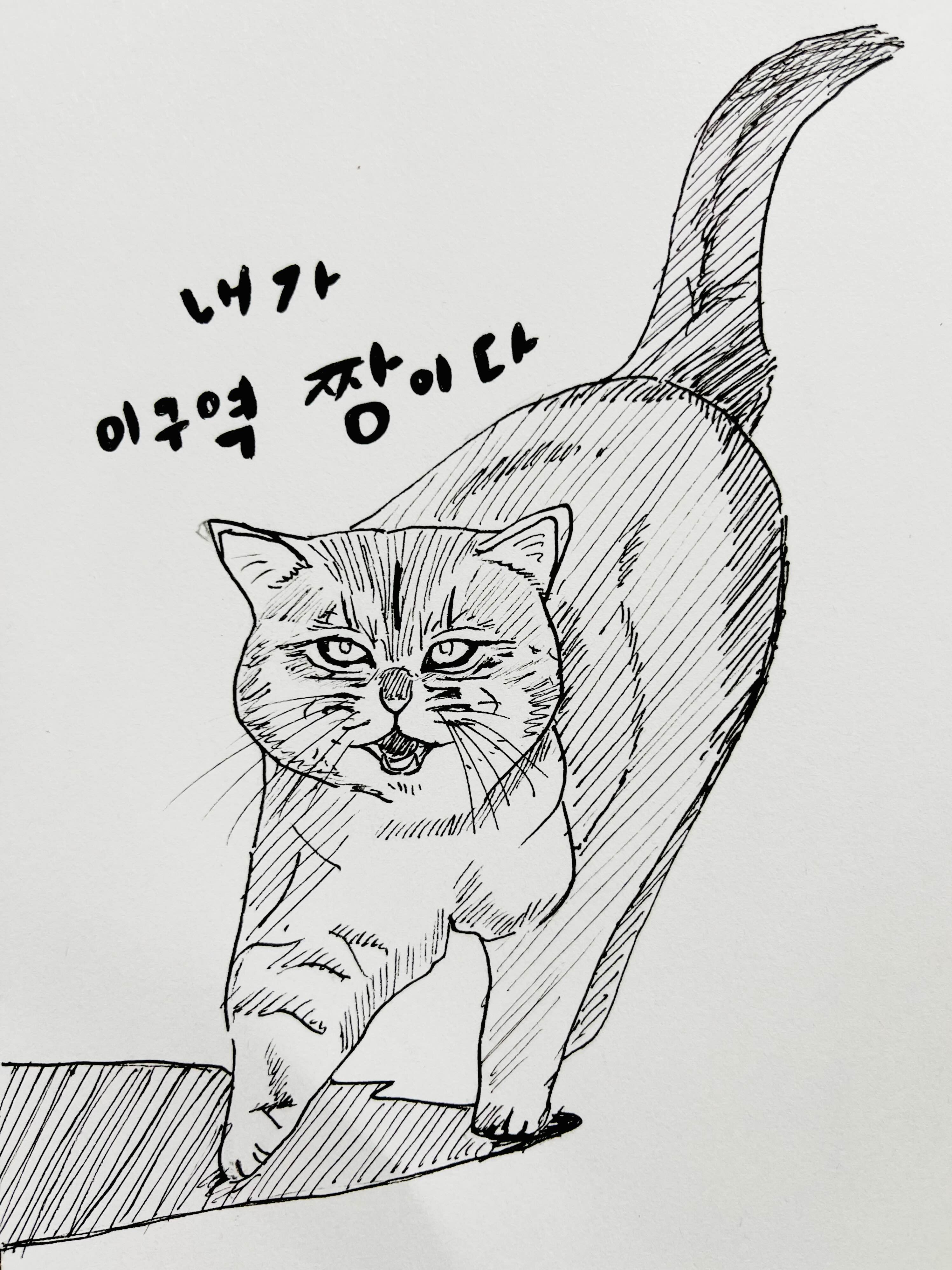  [취미생활 : 그림] 내가 이 구역 짱이다!! (고양이 그림 : 펜그림)
