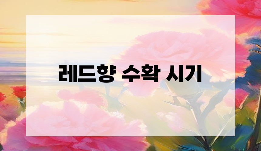레드향 수확 시기