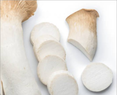 새송이 버섯 효능 7가지 다이어트 암예방 칼로리