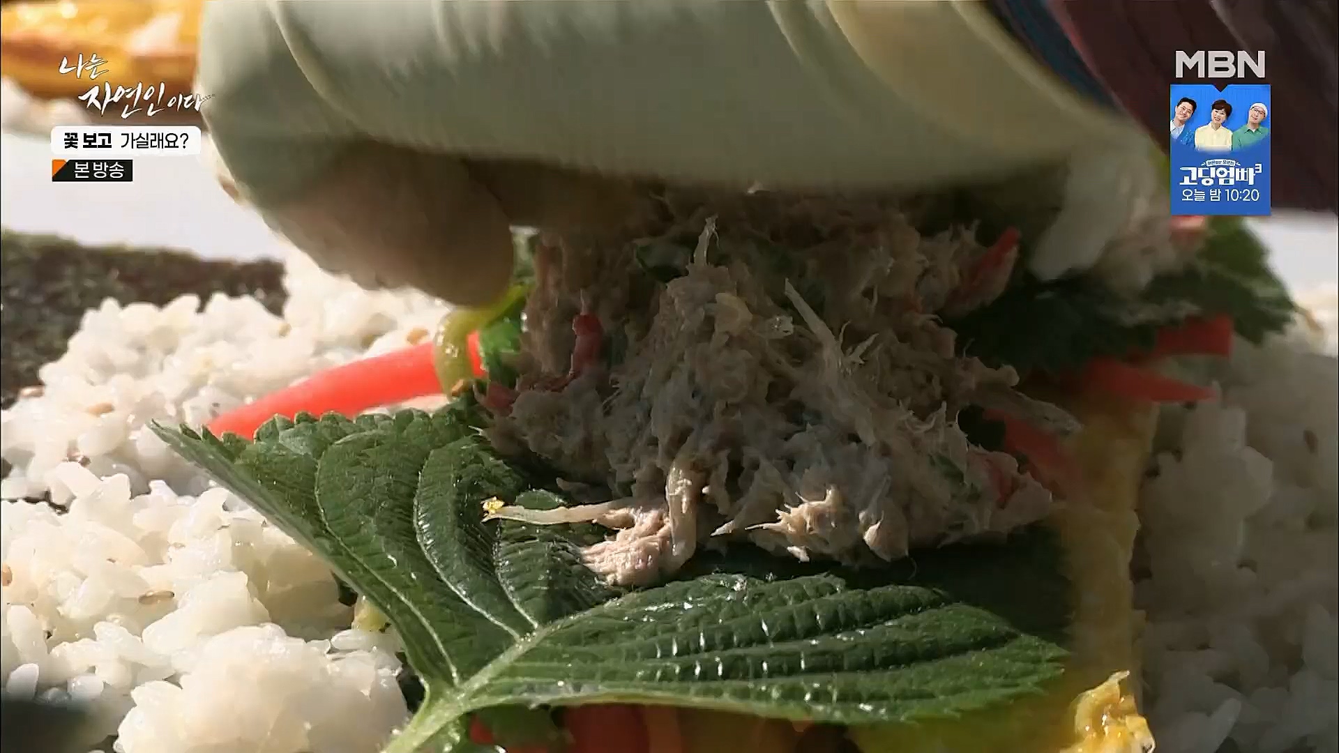 나는 자연인이다.E545.230315p.H264-F1RST.mp4_20230316_212119.417.jpg