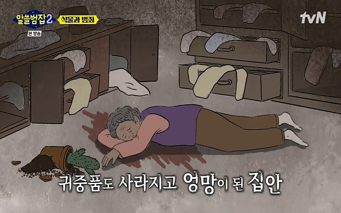 알쓸범잡 2.E15.220425p-NEXT.mp4_20220425_174739.941.jpg