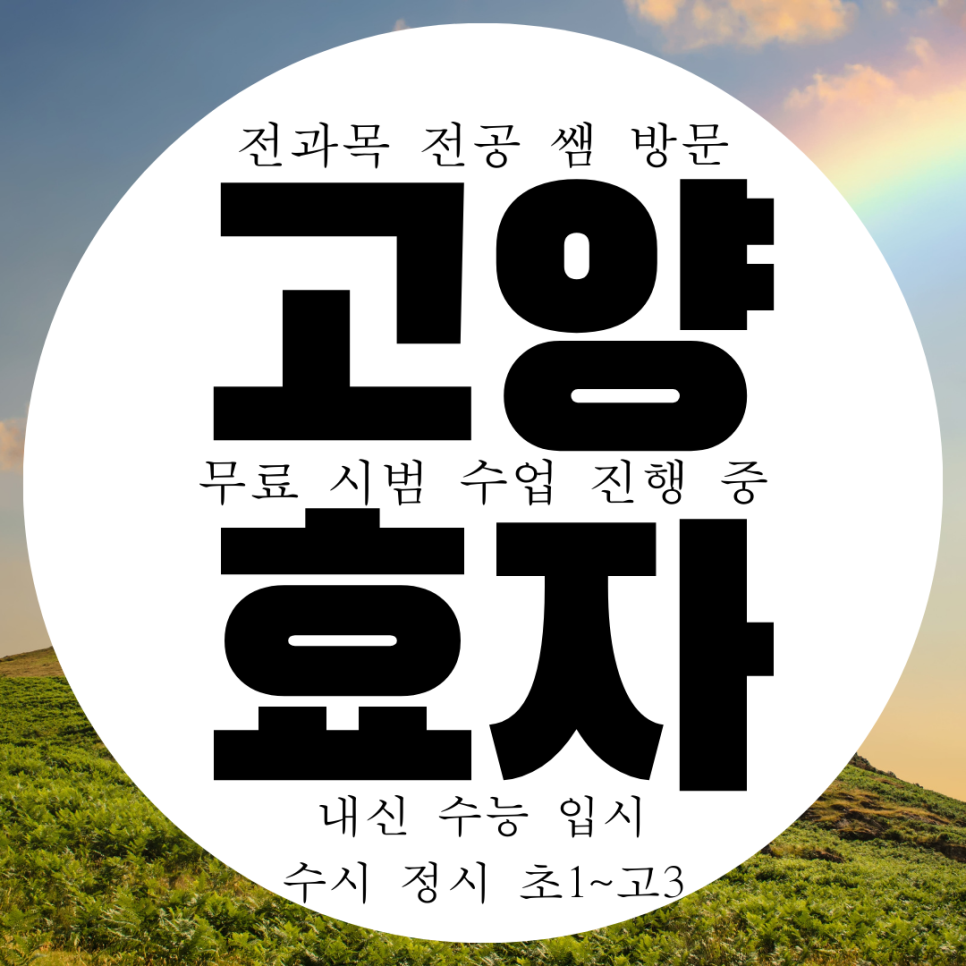  고양 덕양구 효자동 중등 수학과외 화정동 영어과외 고등 역사 화학