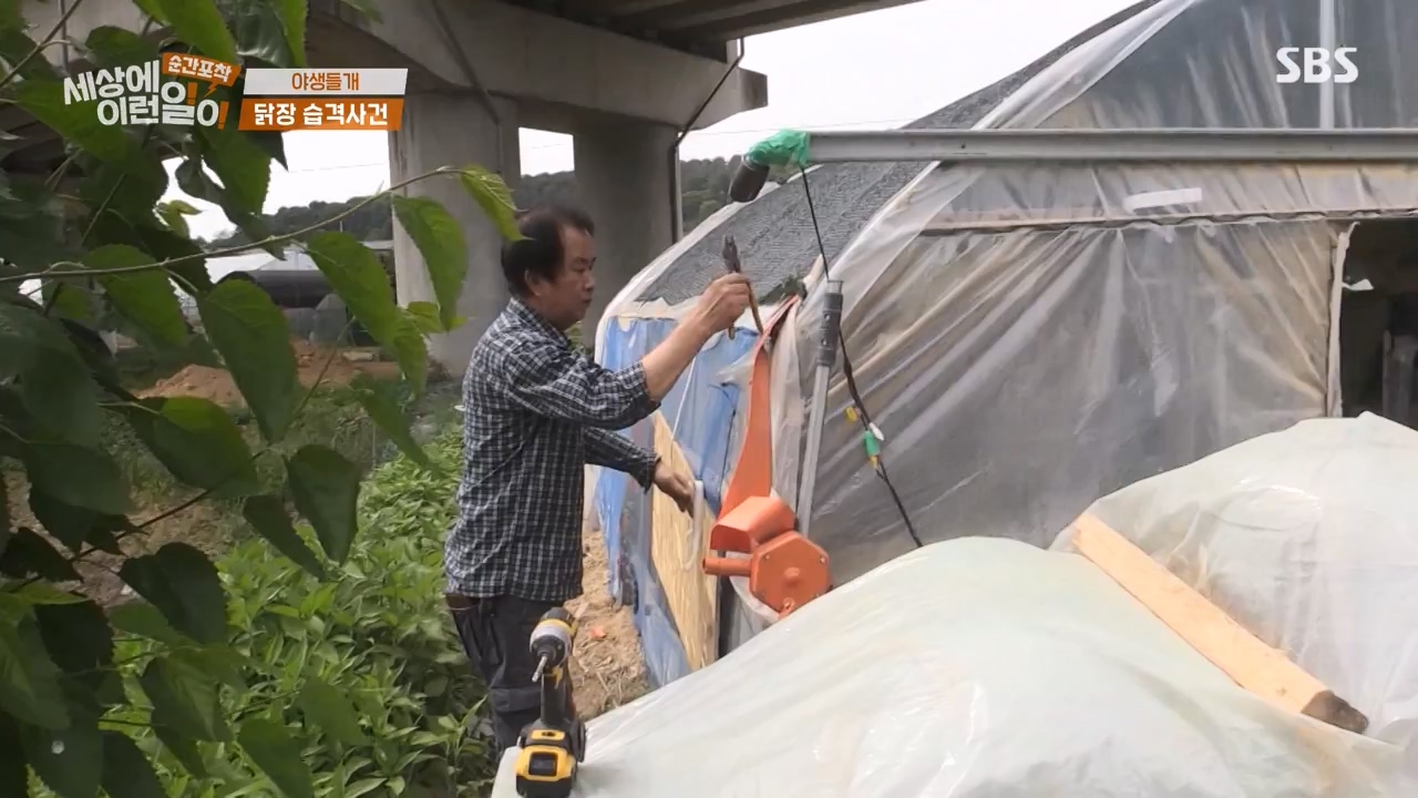 순간포착 세상에 이런일이.E1231.230604p-NEXT.mp4_20230609_202234.887.jpg