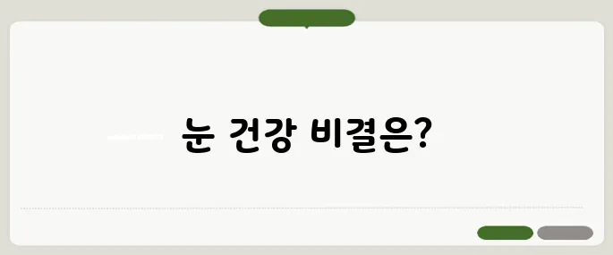 눈 건강 영양제 추천 실사용자 만족도 높은 조합