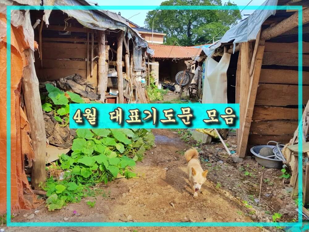  2021년 4월 대표 기도문 모음