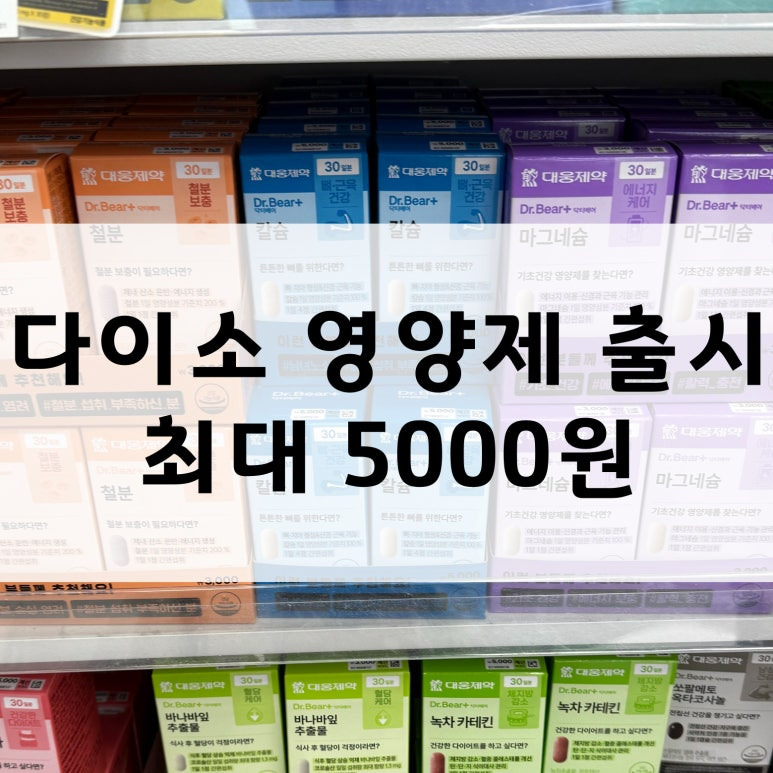 다이소 영양제