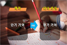 해마학습