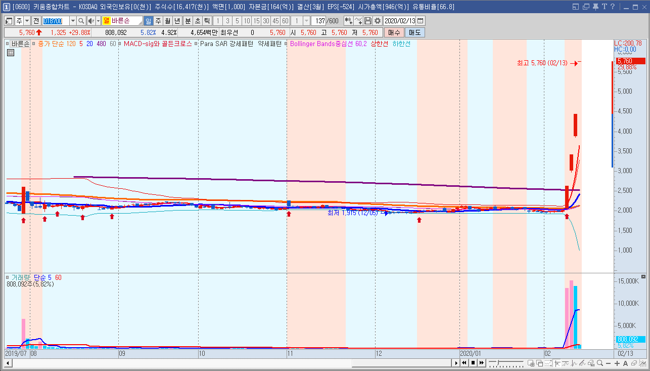  20.02.13(목) Daily 급등종목