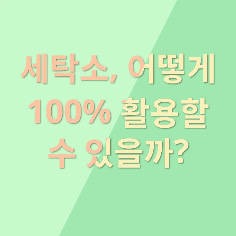 명품 의류 관리_2