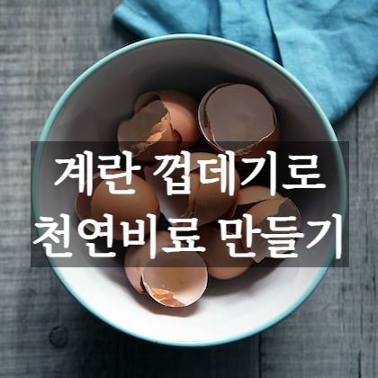 계란껍질 비료 만드는 법&#44; 계란껍데기 비료 성분&#44; 칼슘 액비 효과 바로가기