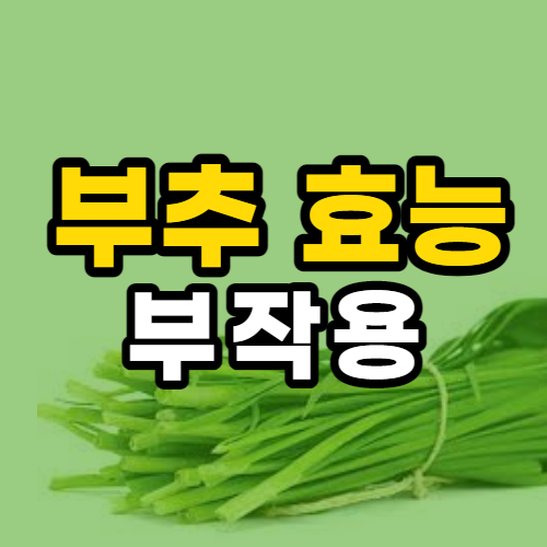 부추 효능 10가지 및 부작용