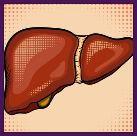 차의 건강을 되찾으면 지방간에 좋은 4