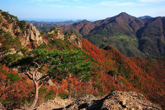 팔각산 정상