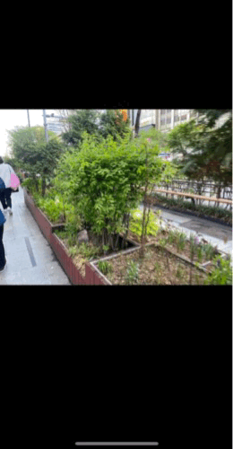 아이폰라이브포토