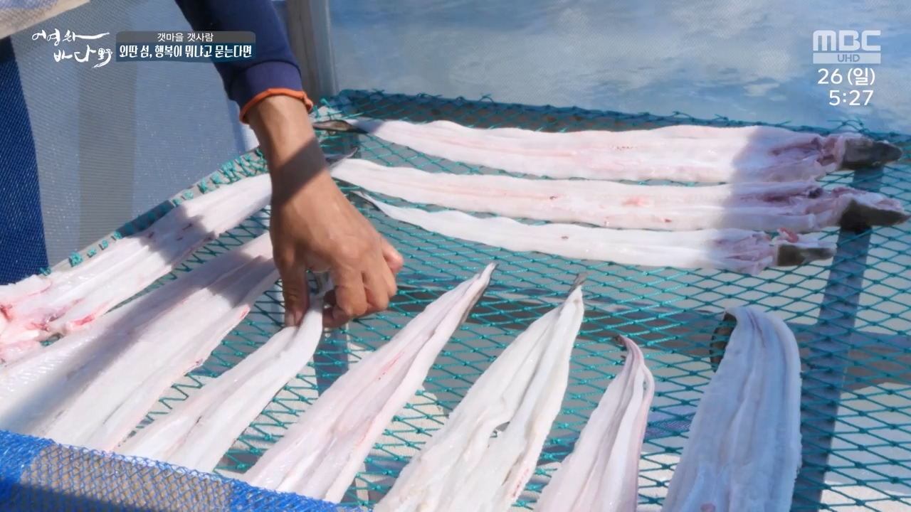 MBC 네트워크 특선 푸른백세 어영차 바다야.E1650.231127p-NEXT.mp4_20231202_171534.554.jpg