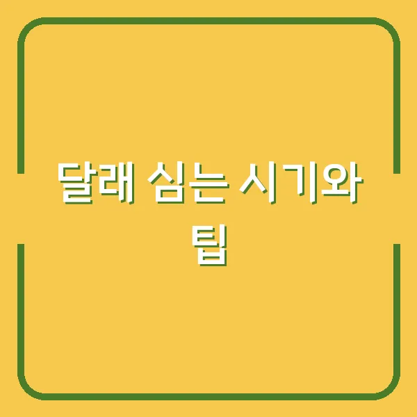 달래 심는 시기와 팁