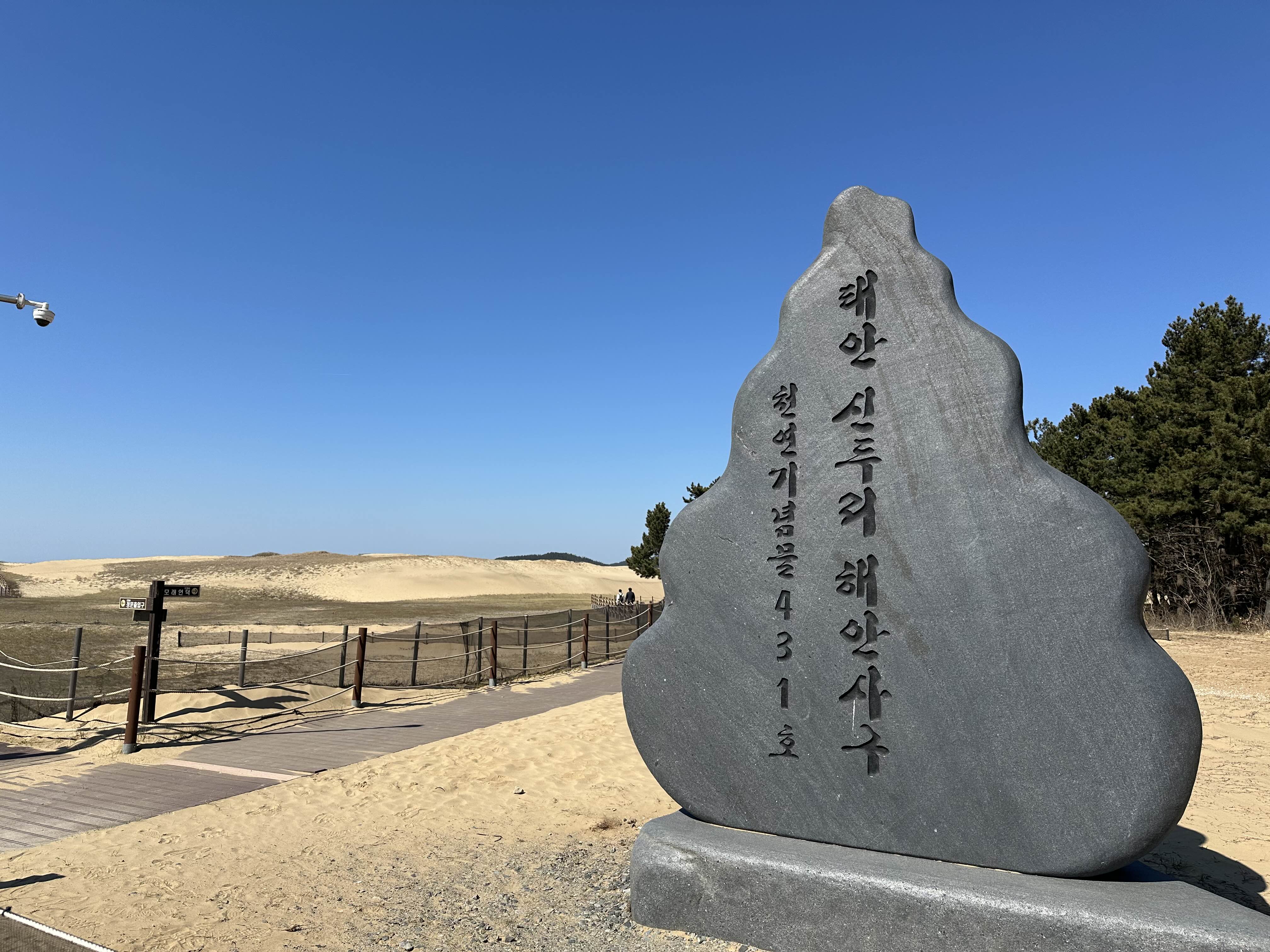 신두리해안사구 비석