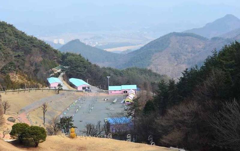 광양 가볼만한곳 베스트10 매화마을과 섬진강의 봄꽃 낭만