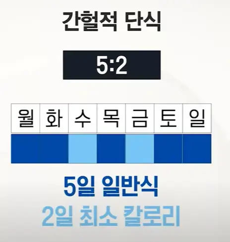 간헐적 단식 시간표