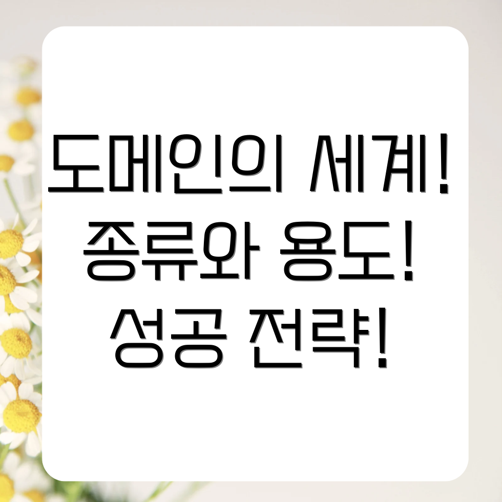 인터넷 도메인