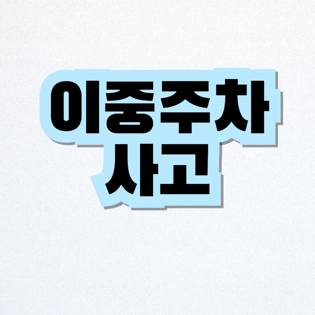이중주차 사고