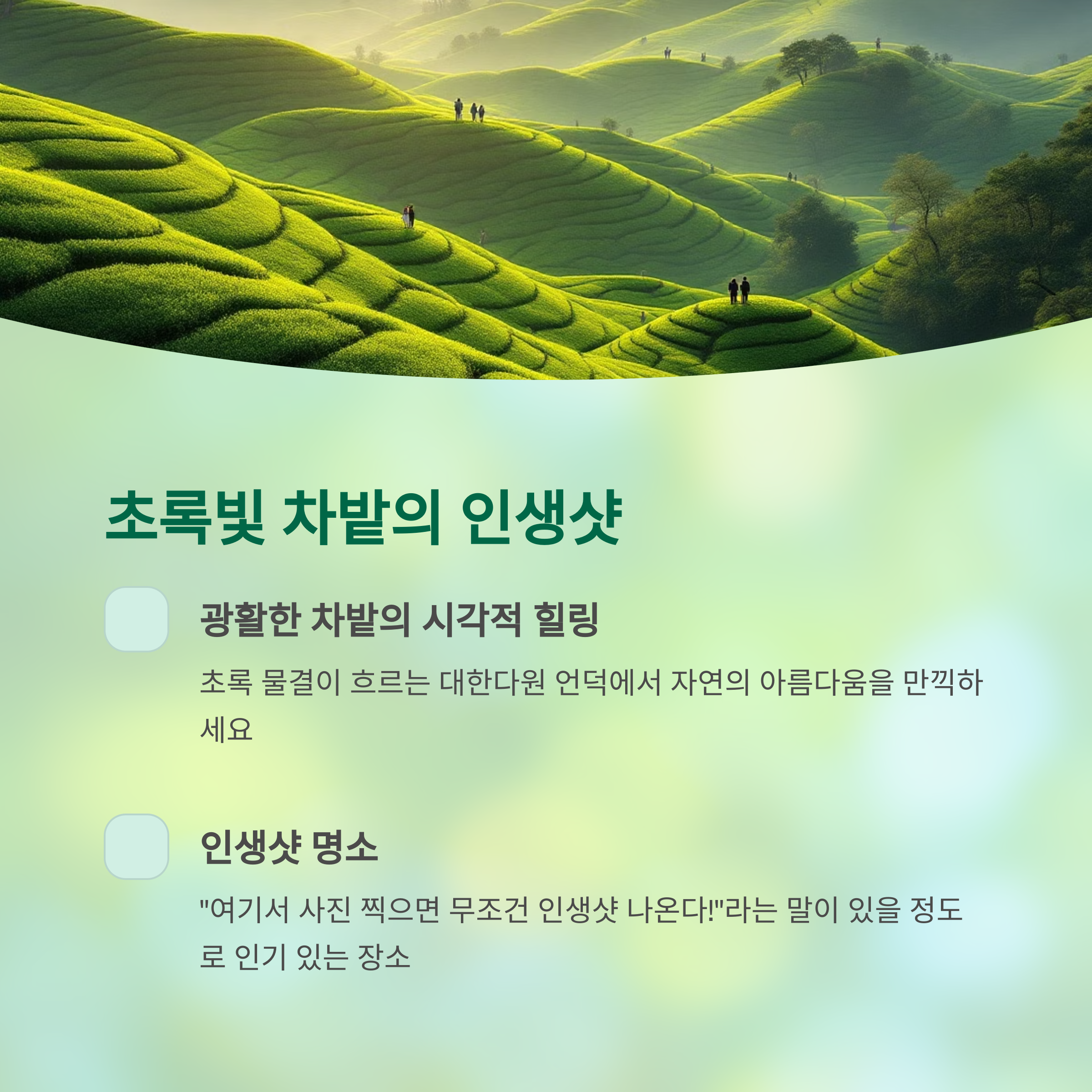 녹차향 가득한 힐링 여행, 보성다향대축제 완벽 가이드