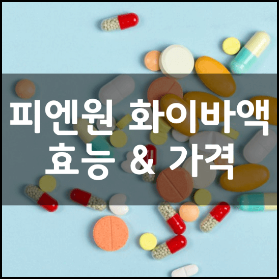 피엔원-화이바액-성분-효능-가격