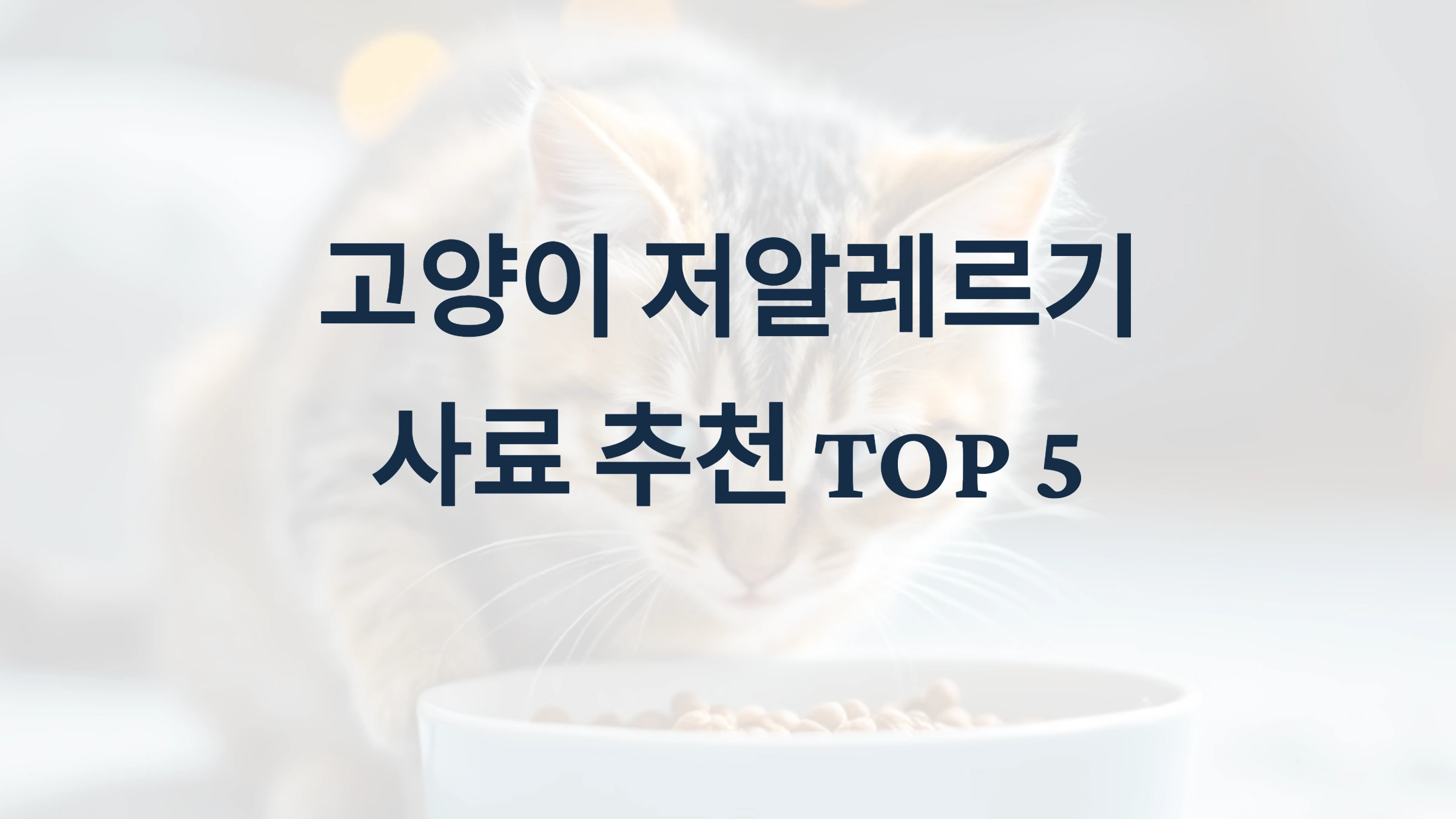 고양이 저알레르기 사료 추천 TOP 5