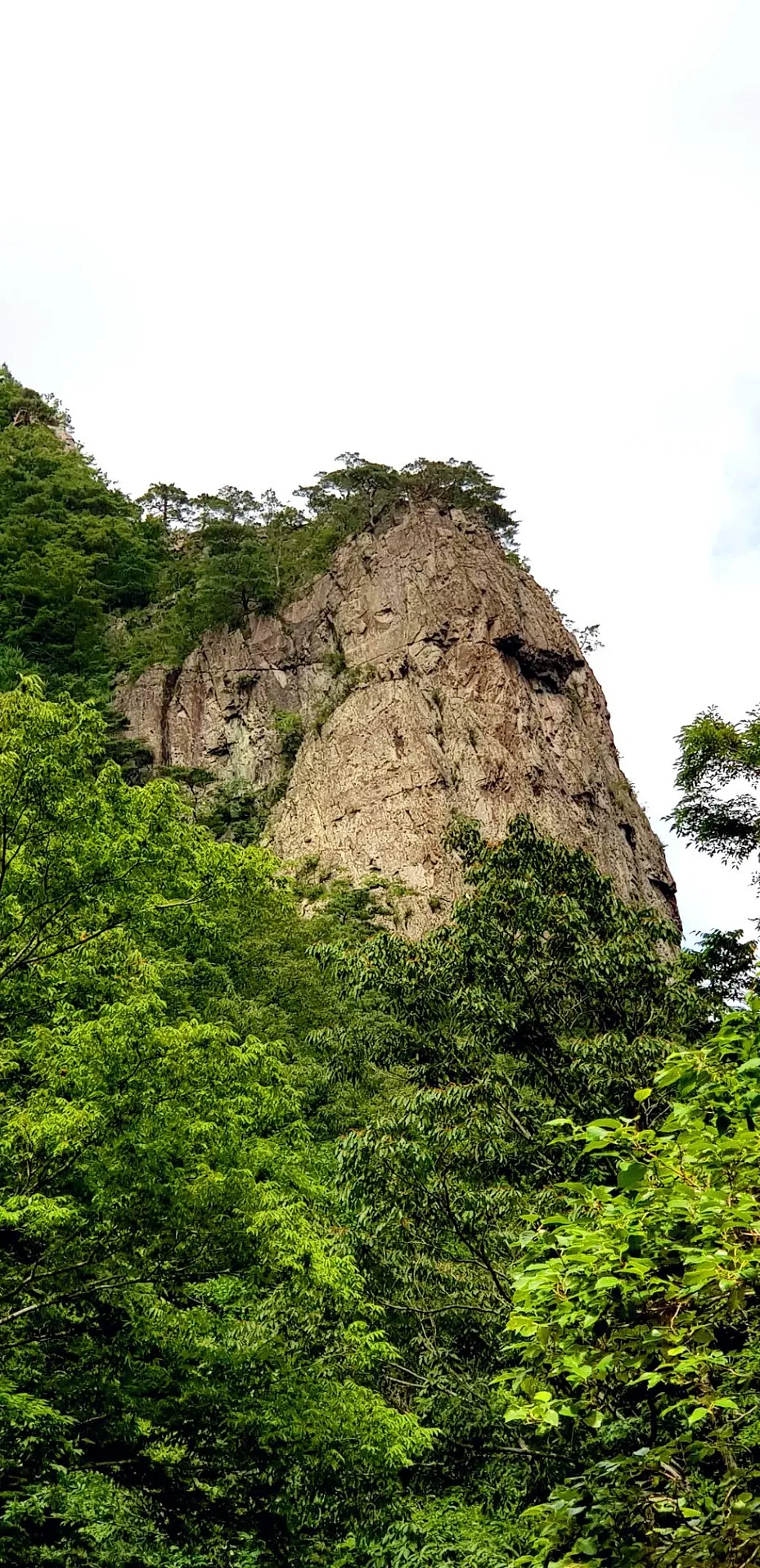 포항 동대산
