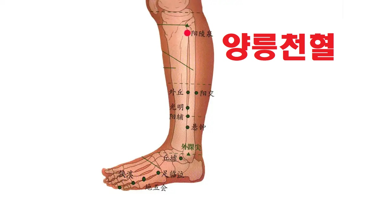 장경한의원 이미지