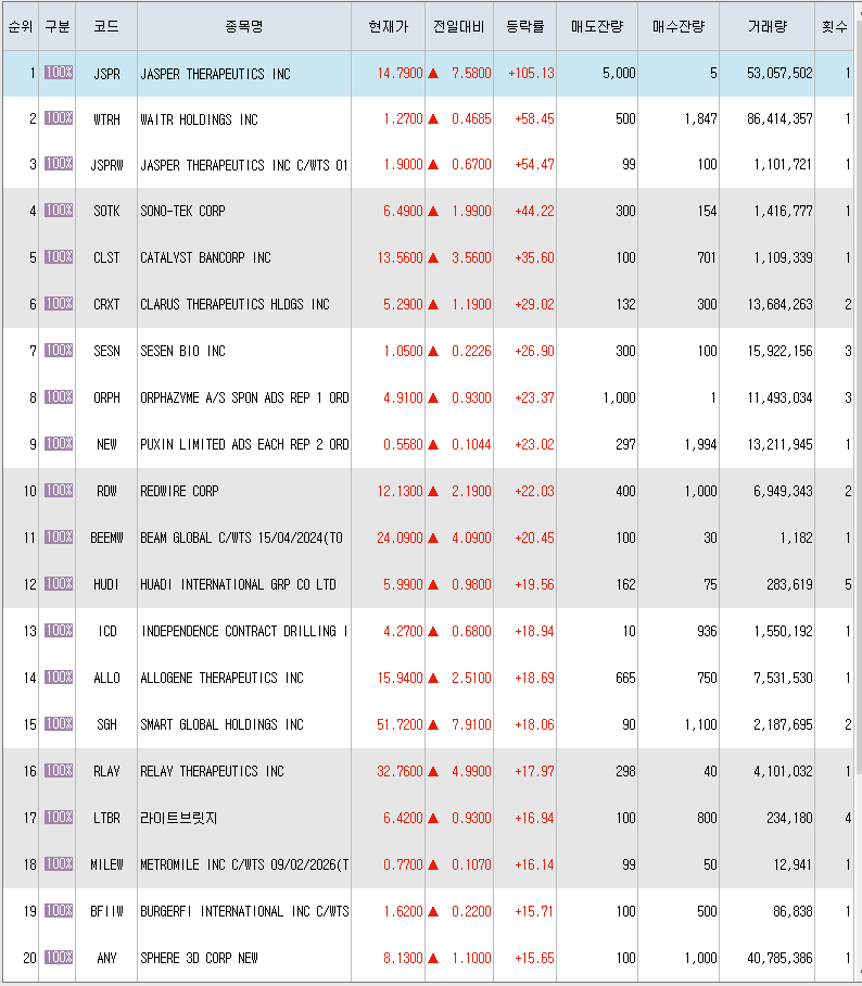  10월13일 미국주식 상승률 상위 종목 TOP 300