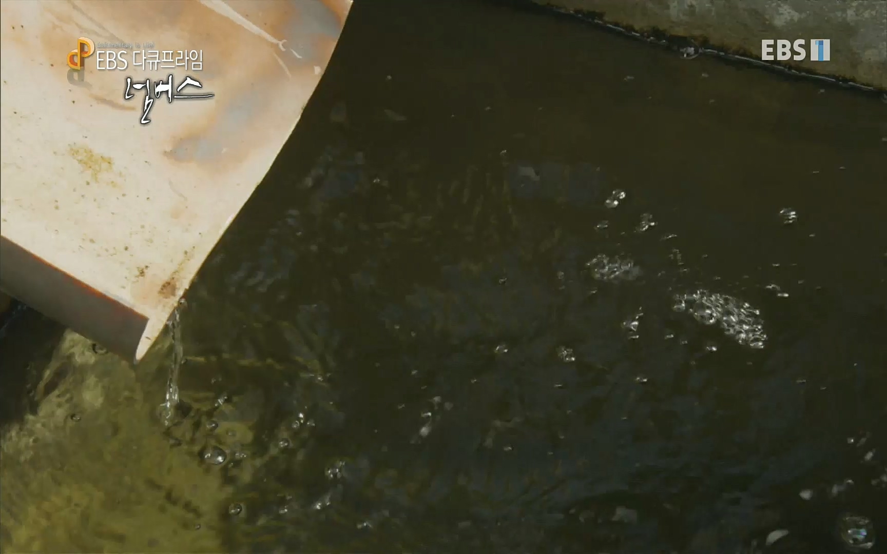 EBS 다큐프라임 - TV - 교육의 중심 EBS넘버스 - 1부 하늘의 수, π.mp4_20220717_181600.086.jpg